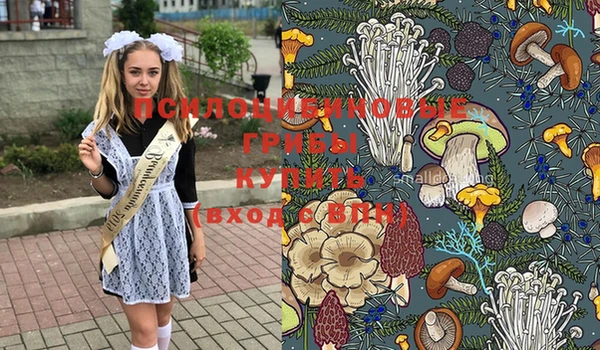 дмт Сатка