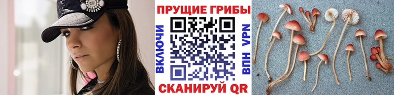 Галлюциногенные грибы GOLDEN TEACHER  Ленск 